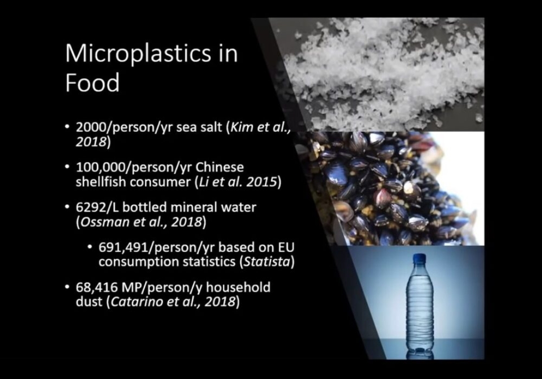 Microplastics: An Emerging Threat To Global Ecology And Public Health